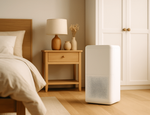 Riding the Air Purifier Wave: What Google Trends Reveals in 2025